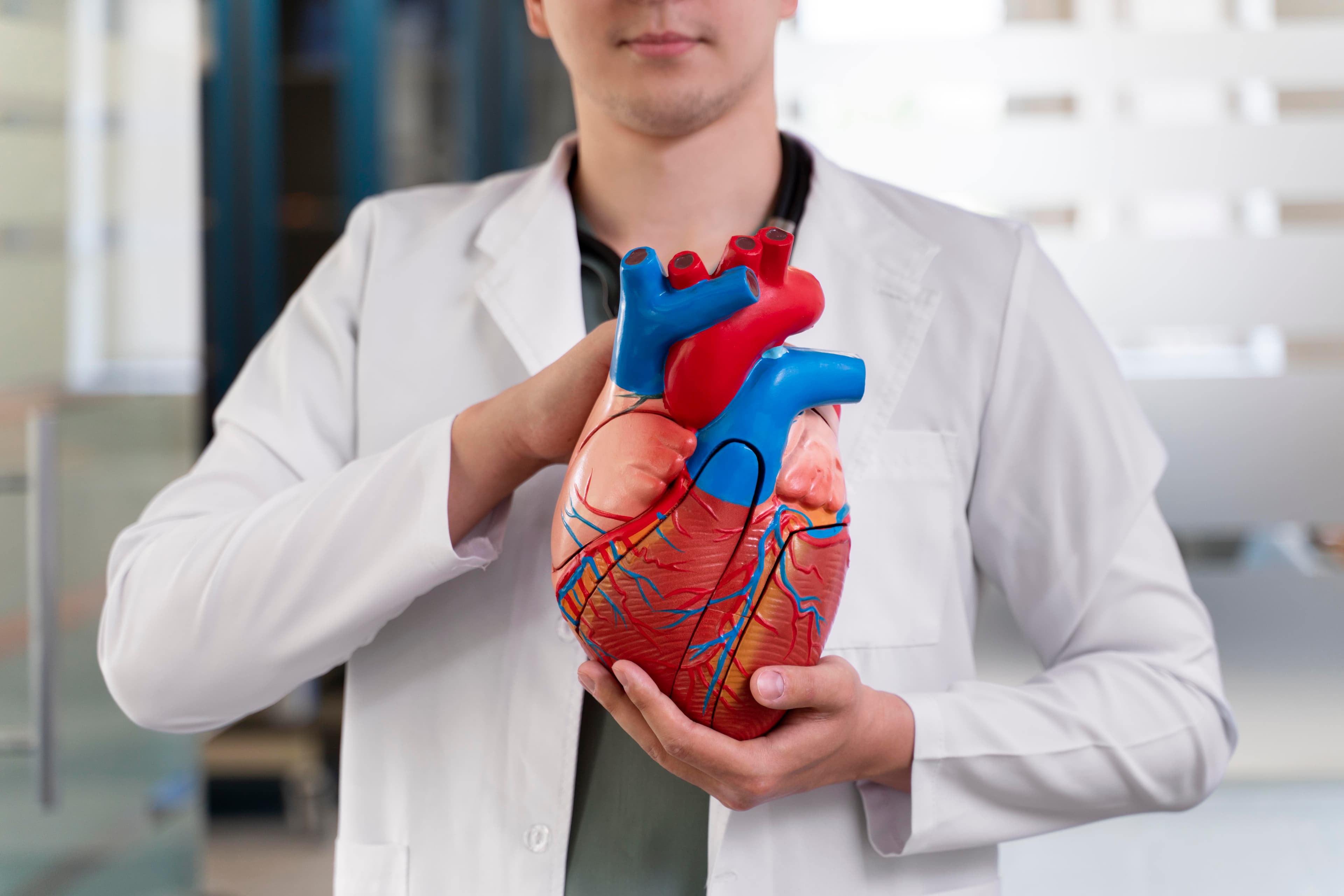 Cardiology - Heart care and cardiovascular treatments